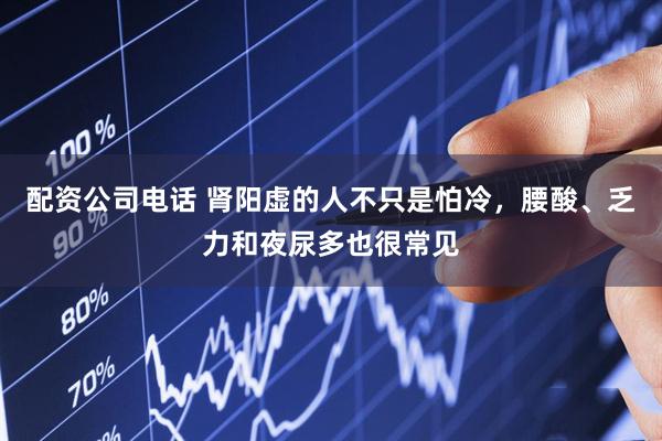 配资公司电话 肾阳虚的人不只是怕冷，腰酸、乏力和夜尿多也很常见
