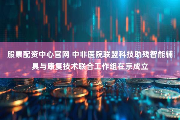 股票配资中心官网 中非医院联盟科技助残智能辅具与康复技术联合工作组在京成立
